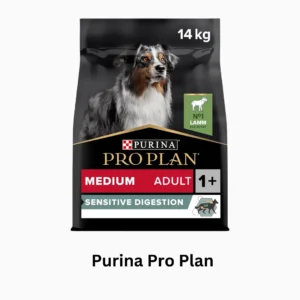 Best Sensitive Stomach Dog Food