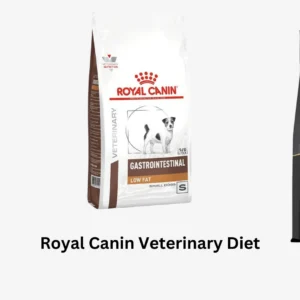 Best Sensitive Stomach Dog Food