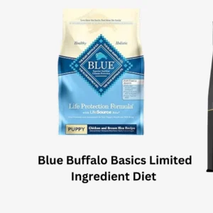 Best Sensitive Stomach Dog Food