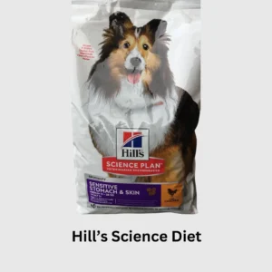Best Sensitive Stomach Dog Food